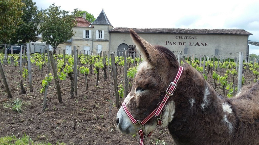 2016-04-30-12h30m31-1024×576