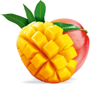 mangue